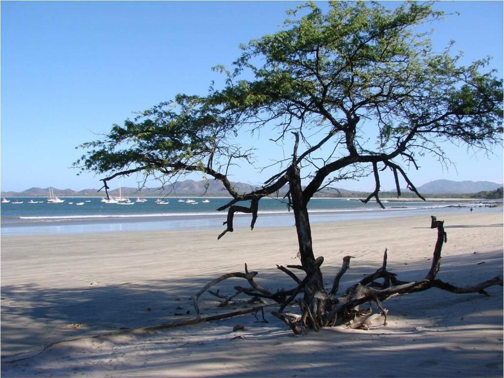 Jet Luxury At Langosta Beach Resort & Villas Tamarindo Luaran gambar